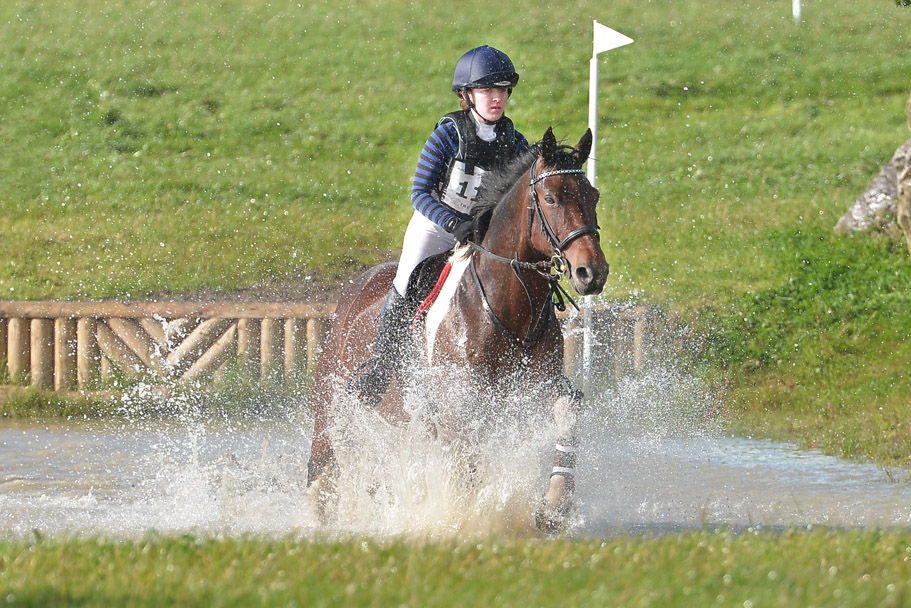 Update To Eventing Dressage Tests Association Of Irish Riding Clubs