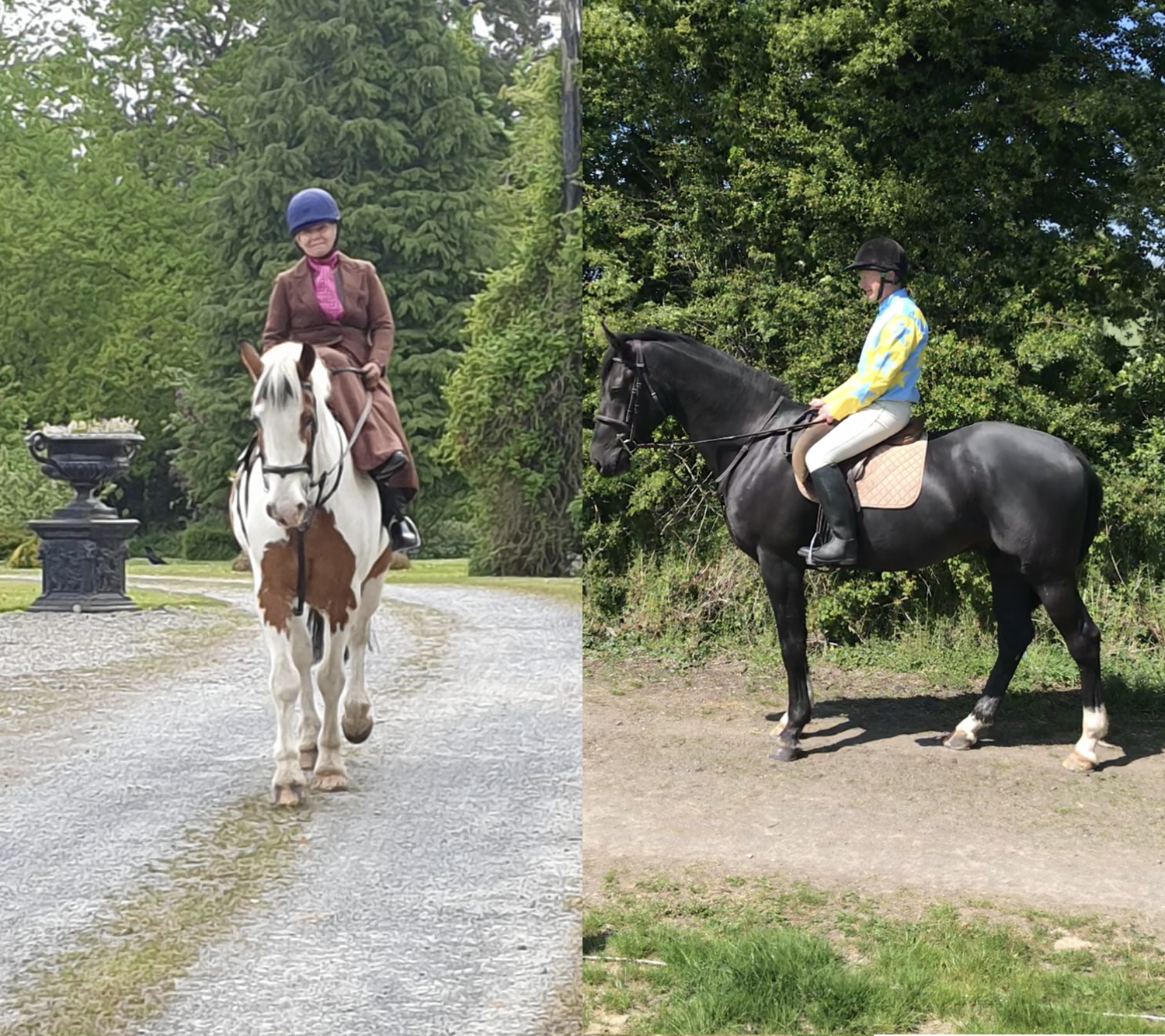 A unique race to get underway between stalwarts of the Equine sector ...