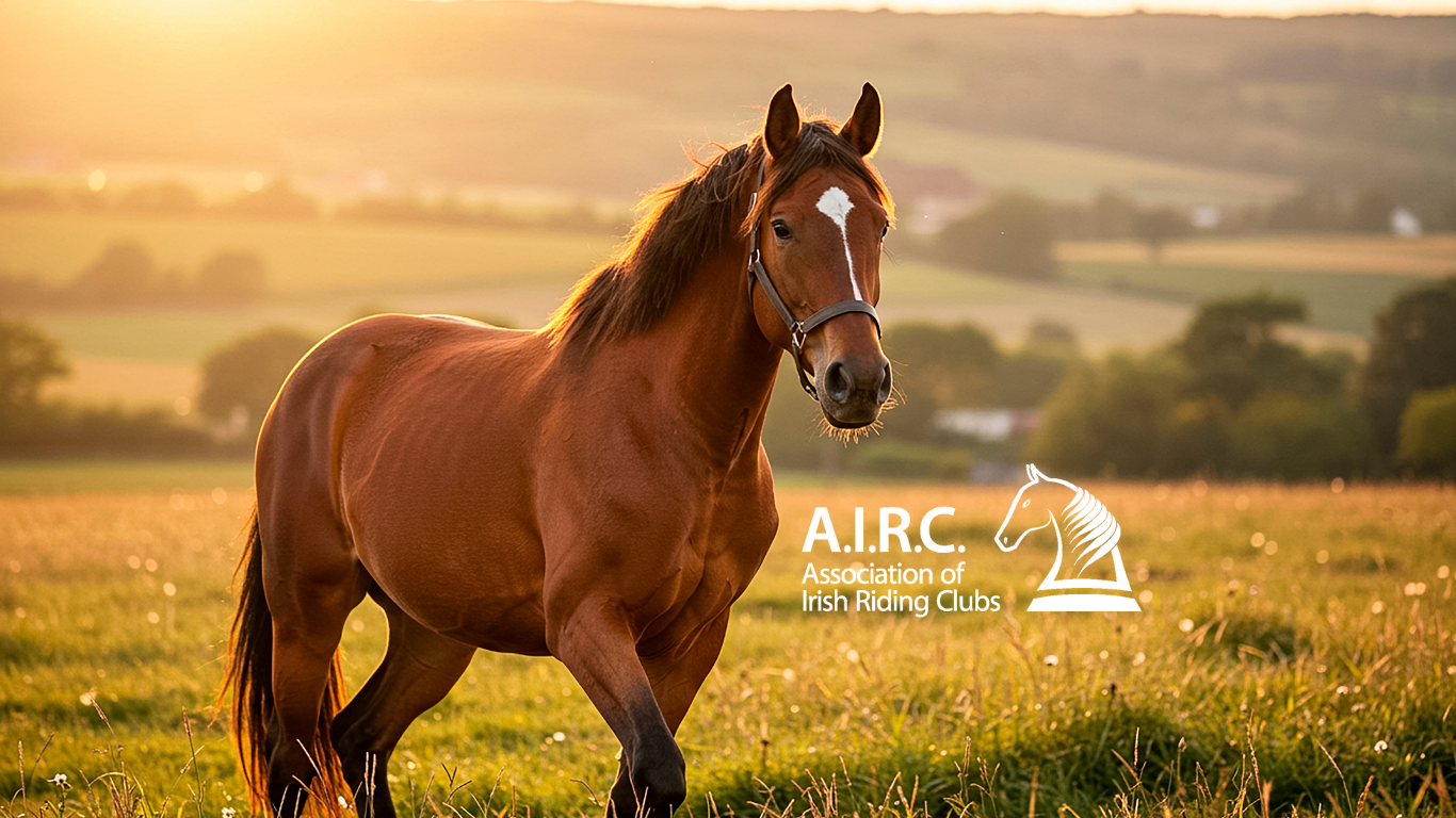 Registration fees confirmed for 2026 - Association of Irish Riding Clubs