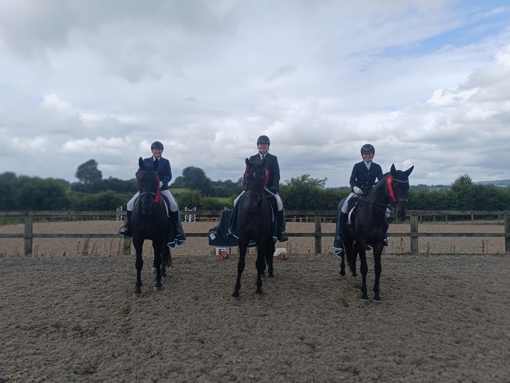 Twinfort win at the West Midlands Regional Qualifier - Association of ...
