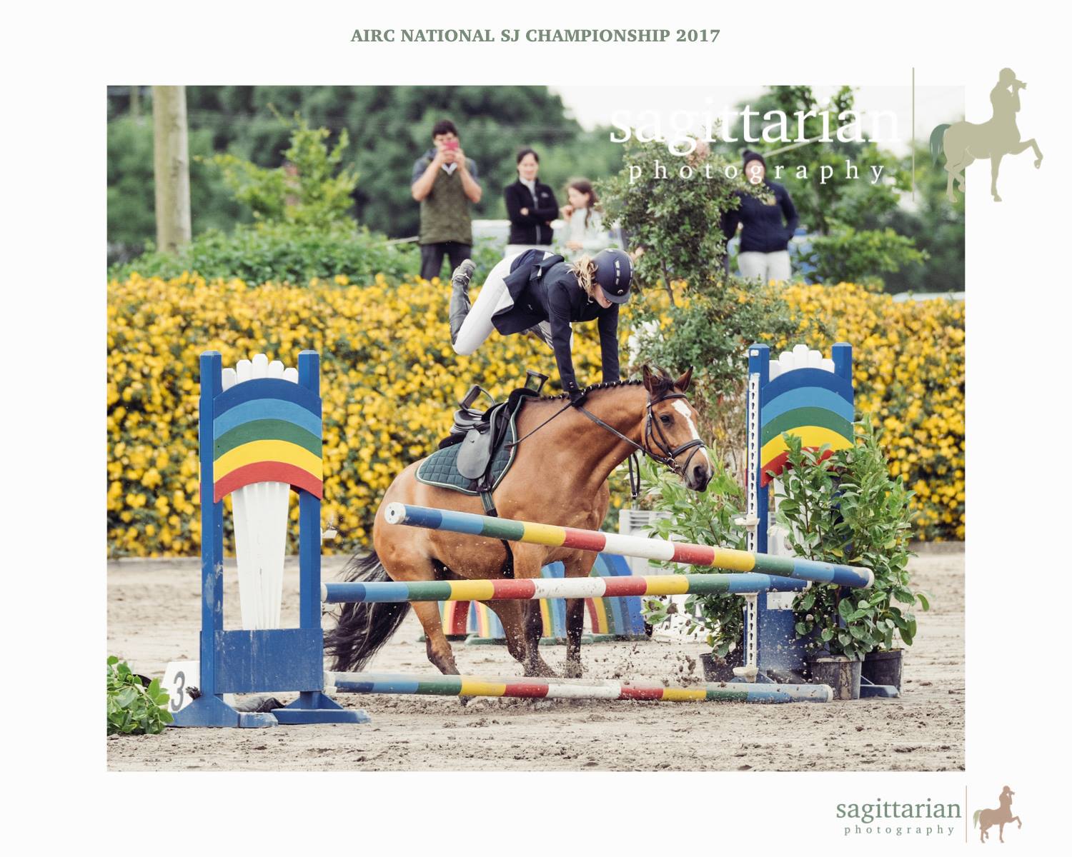 Photographs online from 2017 National Show Jumping Championships
