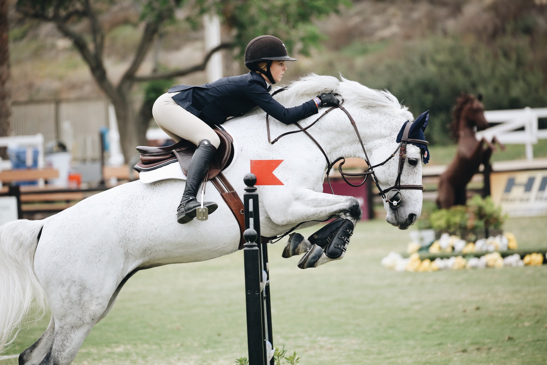 Important Update for 2018 National Show Jumping Championships
